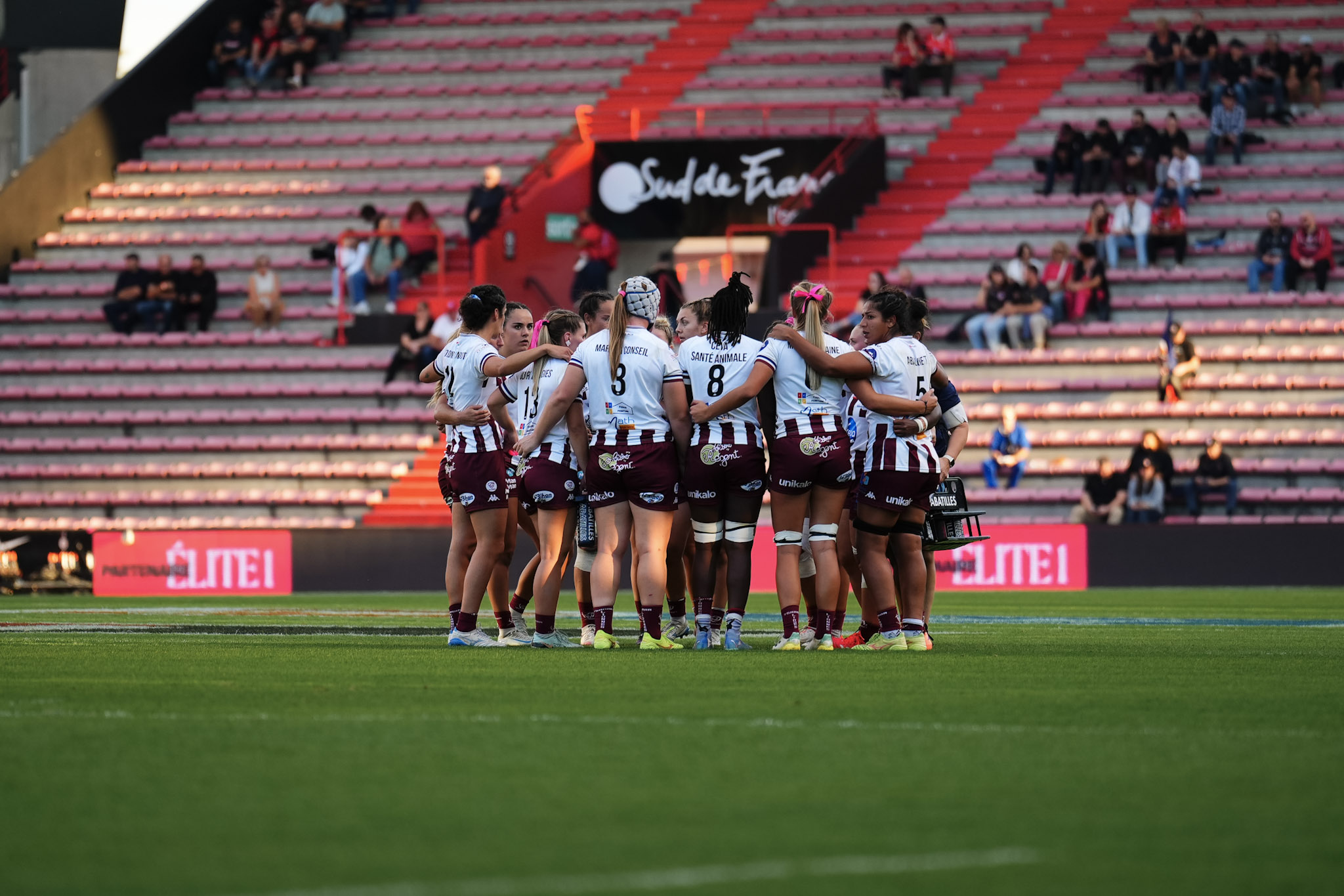 LES LIONNES S’INCLINENT À TOULOUSE POUR LA PREMIÈRE JOURNÉE